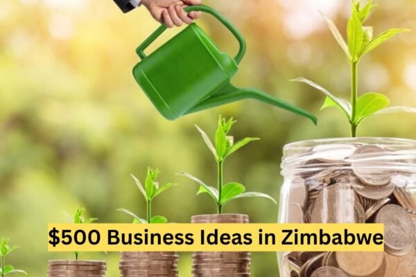 $500 Business Ideas in Zimbabwe