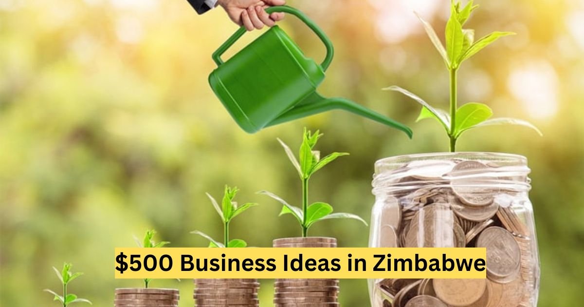 $500 Business Ideas in Zimbabwe