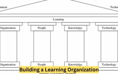 Building a Learning Organization