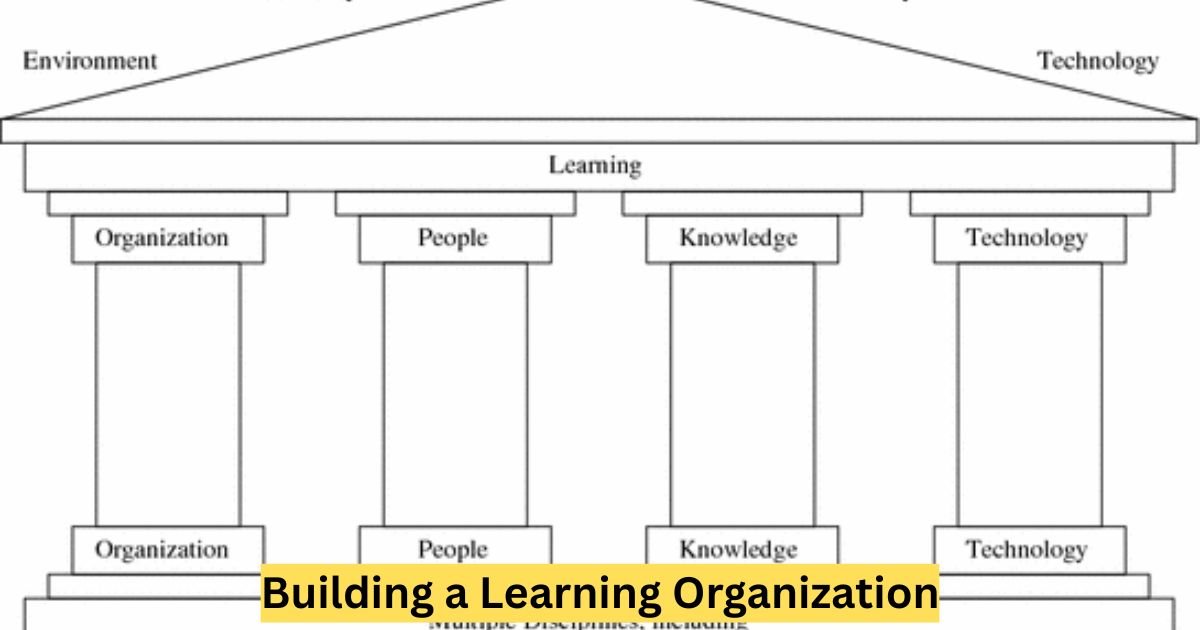 Building a Learning Organization