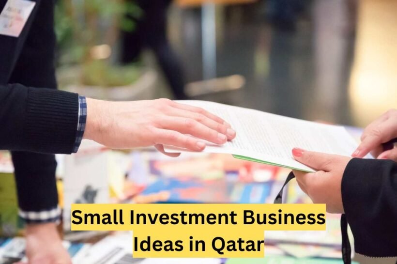 Small Investment Business Ideas in Qatar