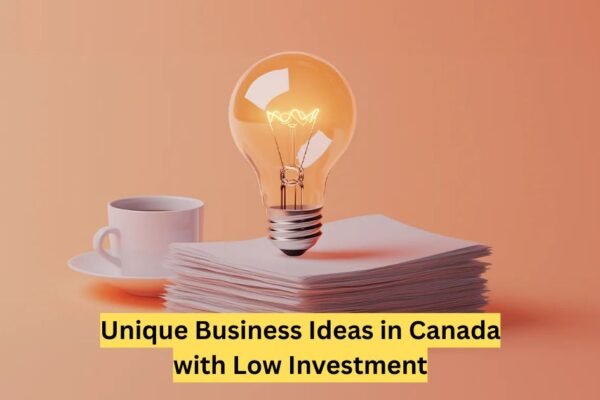 Unique Business Ideas in Canada with Low Investment: for 2025 Unique Business Ideas in Canada with Low Investment