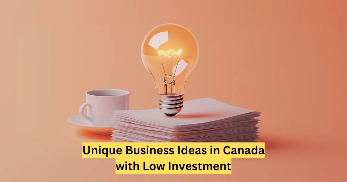 Unique Business Ideas in Canada with Low Investment